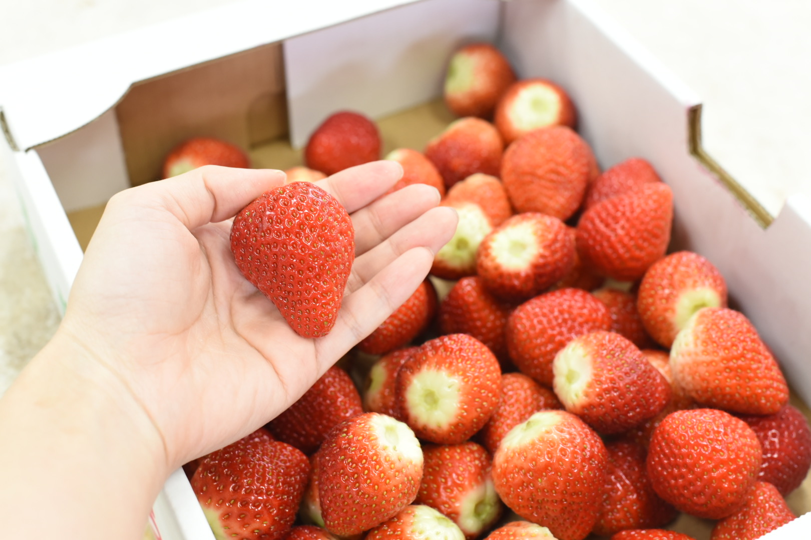 こだわりの苺の写真